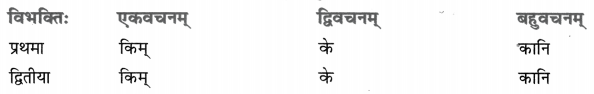 Class 8 Sanskrit Grammar Book Solutions सर्वनाम-प्रकरणम् 11