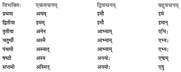 Class 8 Sanskrit Grammar Book Solutions सर्वनाम-प्रकरणम् 17
