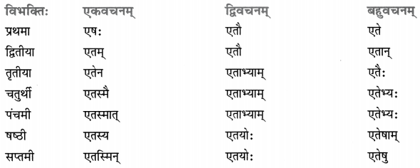 Class 8 Sanskrit Grammar Book Solutions सर्वनाम-प्रकरणम् 5