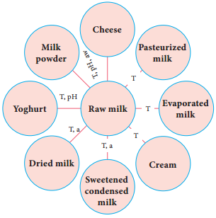 Dairy Microbiology img 2