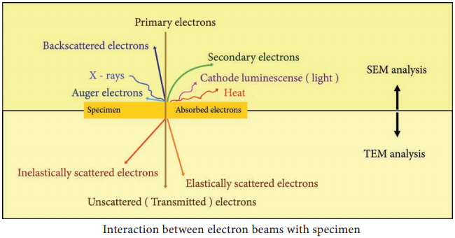 Electron Microscope - Definition, Principle, Parts, Uses img 1