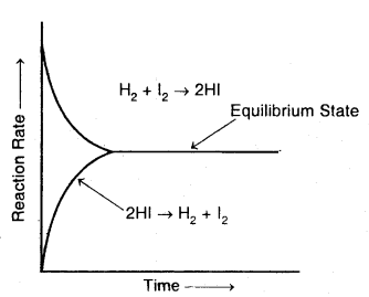 Equilibrium Class 11 Important Extra Questions Chemistry 12
