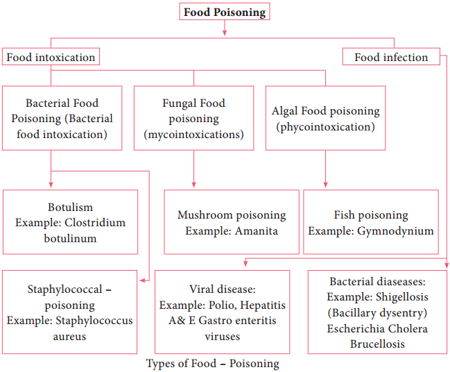 Food Borne Disease img 1