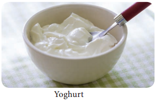 Food Microbiology of Yogurt - An Overview img 1