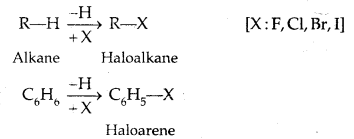 Haloalkanes and Haloarenes Class 12 Notes Chemistry 1
