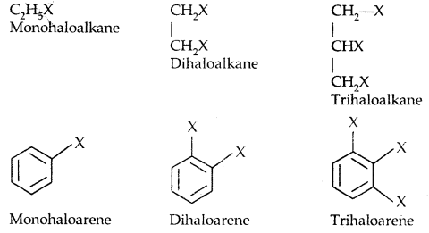Haloalkanes and Haloarenes Class 12 Notes Chemistry 2