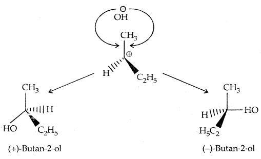 Haloalkanes and Haloarenes Class 12 Notes Chemistry 36
