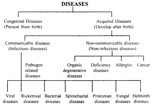Human Health and Disease 12 Notes Biology 1
