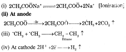 Hydrocarbons Class 11 Important Extra Questions Chemistry 77