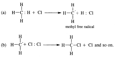 Hydrocarbons Class 11 Important Extra Questions Chemistry 80