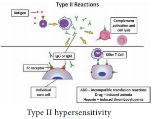 Hypersensitivity Types and its Classification img 2