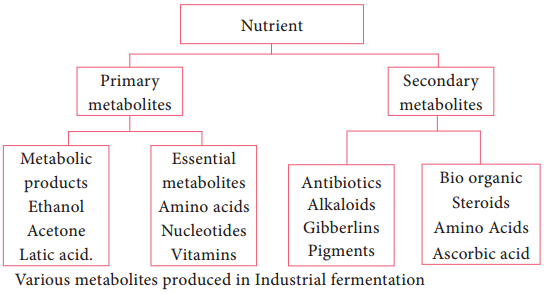 Industrially Important Microorganisms and their Products of Microbiology img 1