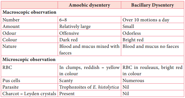 Life Cycle of Entamoeba Histolytica img 5