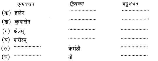 Class 6 Sanskrit Chapter 10 MCQ