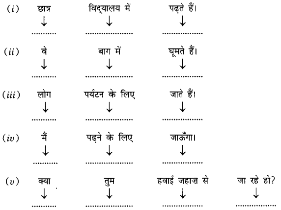 MCQ Questions for Class 6 Sanskrit Chapter 11 पुष्पोत्सवः with Answers 3