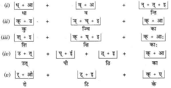 Class 6 Sanskrit MCQ Questions And Answers