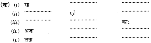 Class 6 Sanskrit MCQ Chapter 2