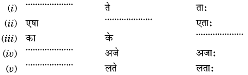 Class 6 Sanskrit MCQ