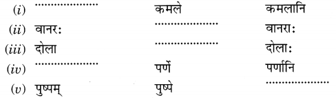 Ncert Class 6 Sanskrit Chapter 3 MCQ