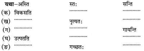MCQ Questions for Class 6 Sanskrit Chapter 3 शब्द परिचयः 3 with Answers 6
