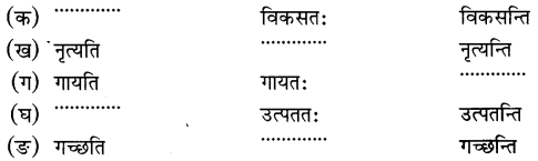MCQ Questions for Class 6 Sanskrit Chapter 3 शब्द परिचयः 3 with Answers 7