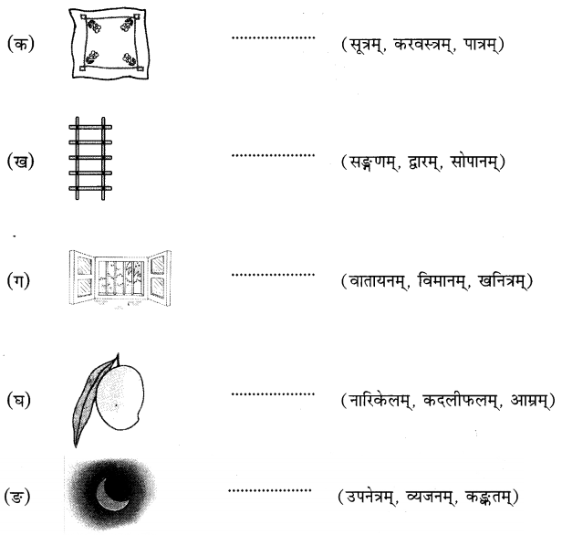 MCQ Questions for Class 6 Sanskrit Chapter 3 शब्द परिचयः 3 with Answers 8