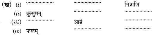 Ncert Class 6 Sanskrit Chapter 5 MCQ