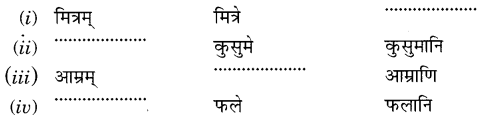 Sanskrit Class 6 Chapter 5 MCQ