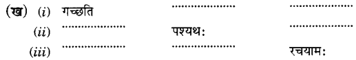 Class 6 Sanskrit Chapter 9 MCQ Questions
