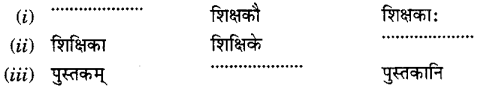 Learn Insta Class 6 Sanskrit MCQ