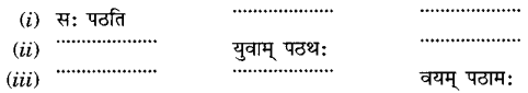 MCQ Questions for Class 6 Sanskrit Chapter 9 क्रीडास्पर्धा with Answers 7
