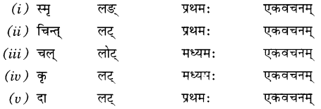 MCQ Questions for Class 7 Sanskrit Chapter 14 अनारिकायाः जिज्ञासा with Answers 2