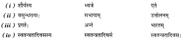 MCQ Questions for Class 7 Sanskrit Chapter 8 त्रिवर्णः ध्वजः with Answers 2