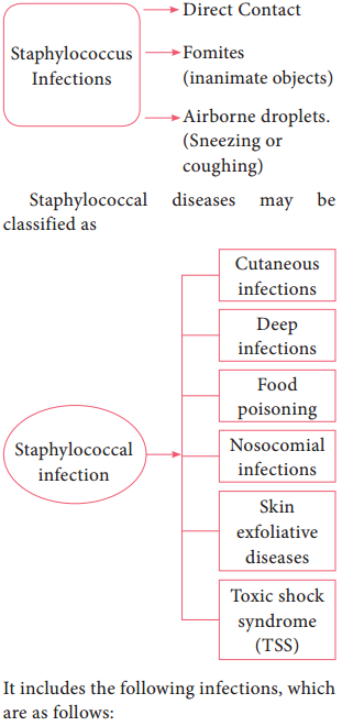 Medical Bacteriology of Staphylococcus aureus img 3