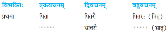 NCERT Solutions for Class 7 Sanskrit Chapter 14 अनारिकायाः जिज्ञासा 2