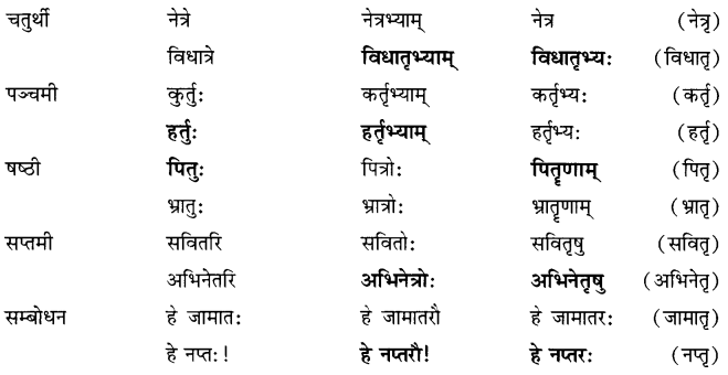 NCERT Solutions for Class 7 Sanskrit Chapter 14 अनारिकायाः जिज्ञासा 5