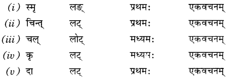 NCERT Solutions for Class 7 Sanskrit Chapter 14 अनारिकायाः जिज्ञासा 8