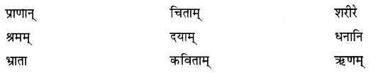 NCERT Solutions for Class 7 Sanskrit Chapter 4 हास्यबालकविसम्मेलनम् 2