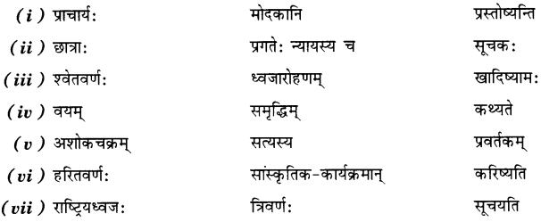 NCERT Solutions for Class 7 Sanskrit Chapter 8 त्रिवर्णः ध्वजः 5