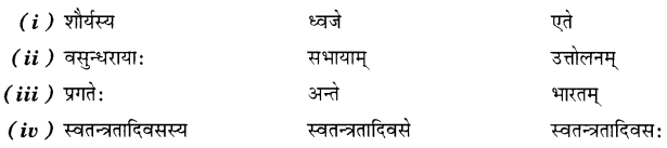 NCERT Solutions for Class 7 Sanskrit Chapter 8 त्रिवर्णः ध्वजः 7
