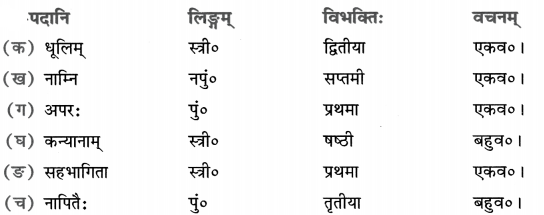 Class 8 Sanskrit Chapter 11 Solution