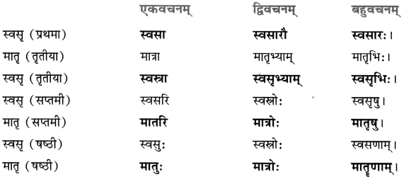 Chapter 5 Sanskrit Class 8
