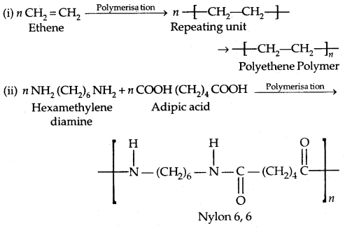 Polymers Class 12 Notes Chemistry 1