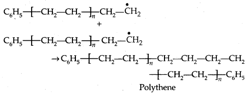 Polymers Class 12 Notes Chemistry 10