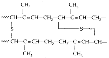 Polymers Class 12 Notes Chemistry 24