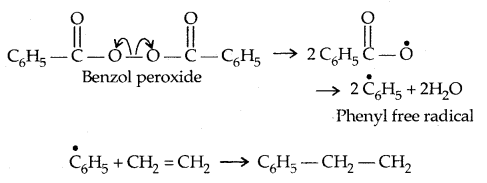 Polymers Class 12 Notes Chemistry 8