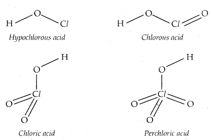 The p-Block Elements 12 Notes Chemistry 56
