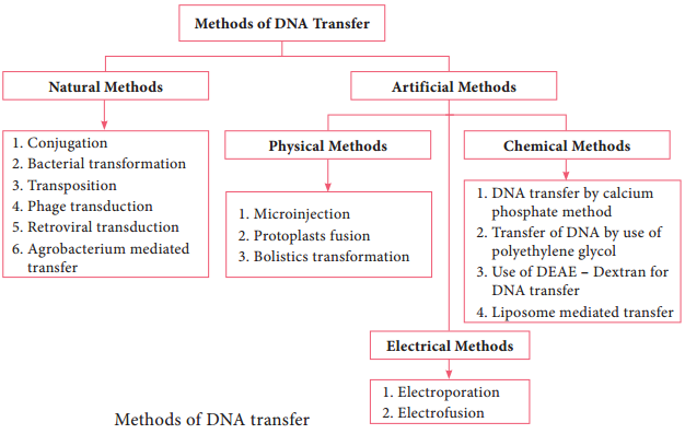 Transfer of Genetic Material img 1