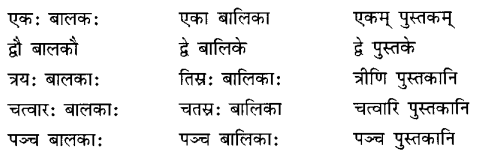 दशमः त्वम असि Summary Notes Class 6 Sanskrit Chapter 12.1