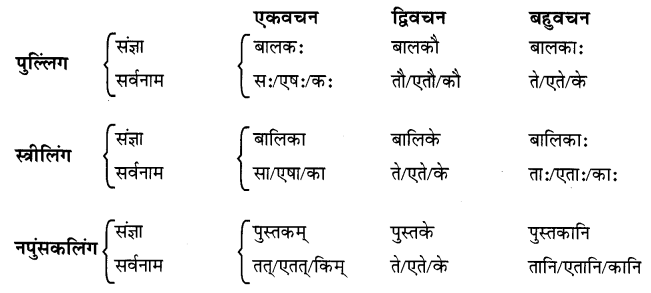 शब्द परिचयः 3 Summary Notes Class 6 Sanskrit Chapter 3